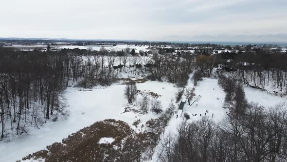 Pine fall season falled leaves Richardson Creek St Catharines Ontario alt