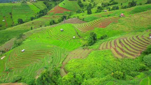 An aerial view over the beautiful rice terraces alt