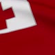 Tonga Flag - VideoHive Item for Sale