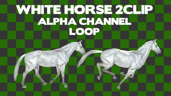 White Horse 2Clip Alpha Loop