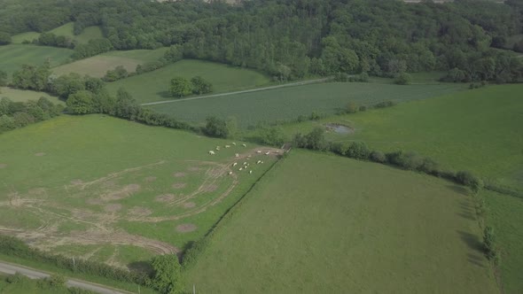 Aerial view summer rural landscape green fields grass meadows countryside village Sarremezan France