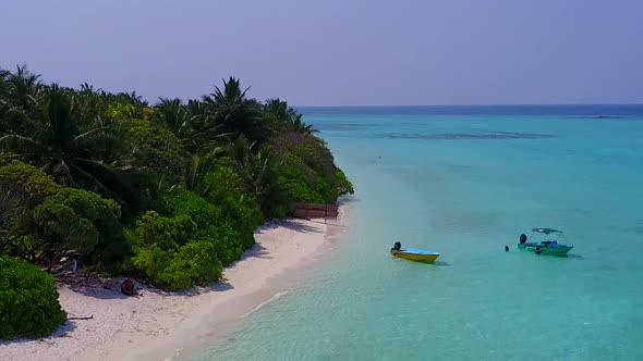 Aerial drone nature of coast beach time by blue water and sand background alt