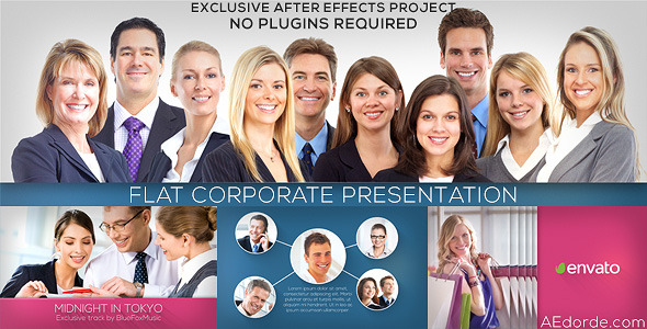 Flat Corporate Presentation