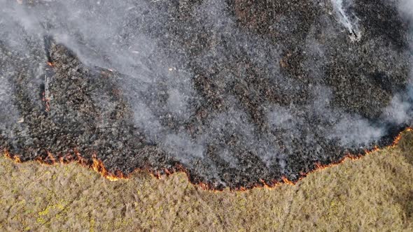 Climate Emergency. Spectacular High Aerial Fly Over View of a Grass Fire alt