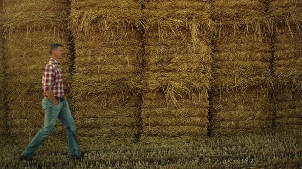 Farmer Walking Hay Stack at Agricultural Farmland alt