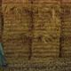 Farmer Walking Hay Stack at Agricultural Farmland - VideoHive Item for Sale