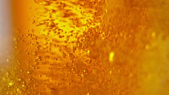 Super Slow Motion Detail Shot of Beer Bubbles in Glass at 1000Fps alt