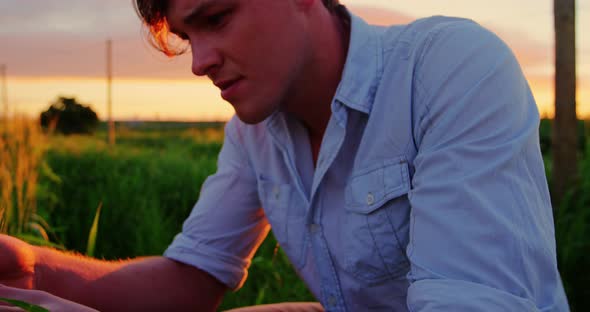 Man touching wheat crops in field alt