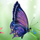 Nature Spring Butterfly Logo Reveal - VideoHive Item for Sale