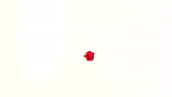 Red Paper Heart Beat on white background Crumple and Uncrumple Stop Motion Animation alt