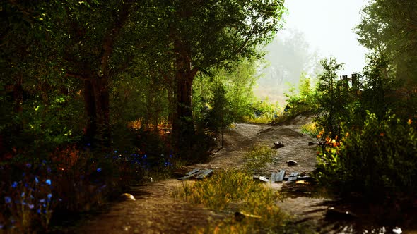 Old Wooden Fence and Dirt Road in the Countryside at Summer Season alt