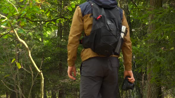 A Hiker with a Camera Walks Through a Forest - View From Behind alt