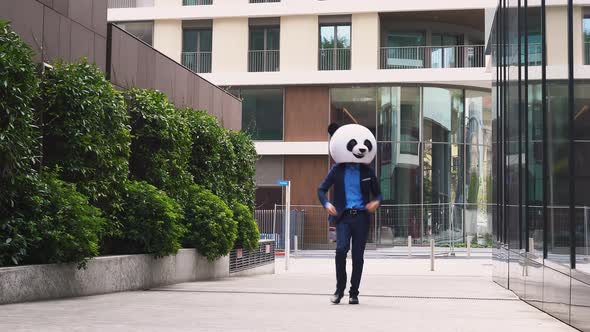 Businessman with panda head alt