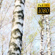Birch Alley - VideoHive Item for Sale