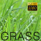 The Green Grass 2 - VideoHive Item for Sale
