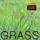 The Green Grass 3 - VideoHive Item for Sale