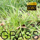 The Green Grass 5 - VideoHive Item for Sale