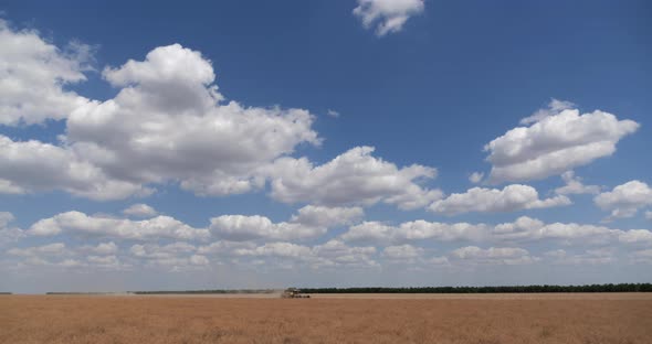 The Combine Harvests Rapeseed On A Background Of Blue Sky With Clouds And Fields alt