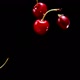 Closeup of the Juicy Red Cherries are Falling Diagonally on a Black Background - VideoHive Item for Sale