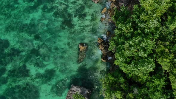 top down view of green forest coastline with rocky turquoise ocean shore in Uluwatu Bali, aerial alt