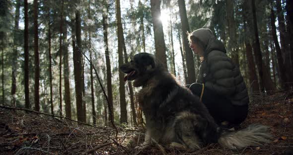 A Dog and His Owner in a Misty Forest While the Sun is Shining in the Background