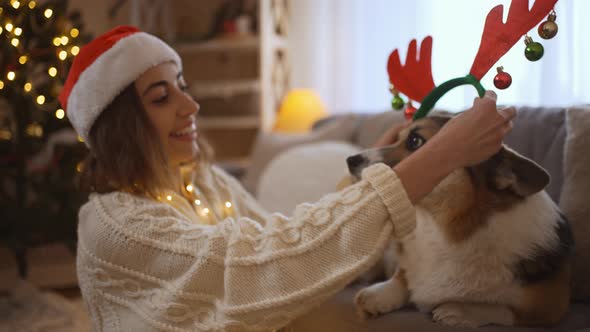 Broll Beautiful Smiling Woman in Santa Hat Wears Reindeer Antlers Headband on Funny Welsh Corgi Dog alt