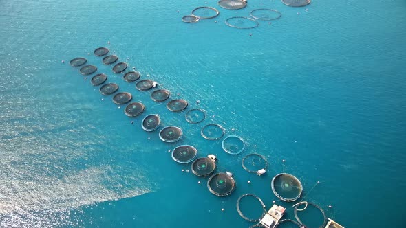 Aerial drone view of fish farms in Ionian Sea, Zakynthos, Greece alt