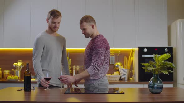 Romantic Lgbt Couple Clinking Glasses of Wine alt