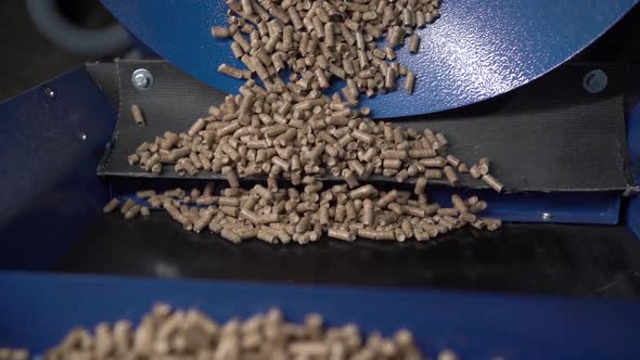 Wood fuel pellets fall on cells of delivering conveyor belt