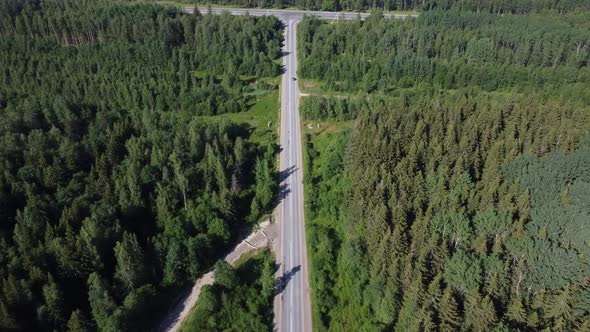 Flying on a Throne Over a Road in the Middle of the Forest