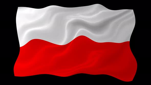 Poland Flag Wavy National Flag Animation