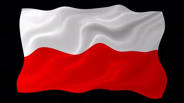 Poland Flag Wavy National Flag Animation alt