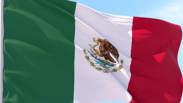 Mexico Flag Looping Background