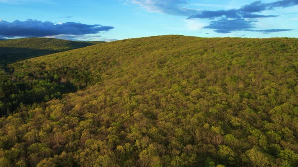 Aerial drone video footage of a vast endless forest with rolling green hills in the Appalachian Moun alt