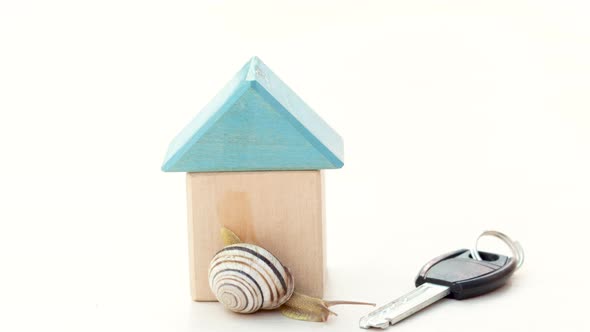 snail sliding on wooden cubby house shape isolated with keys from the door.buy rent or sell a house 