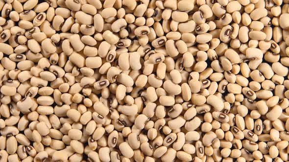 Rotation Of A White Beans (Background)