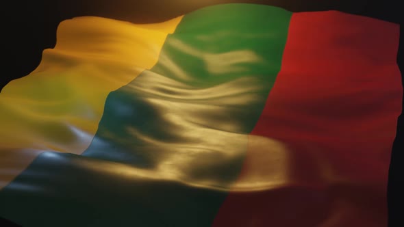 Lithuania Flag Low Angle View