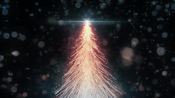 Animated Orange Christmas Fir Tree Star background seamless loop HD resolution.