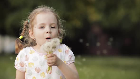 Charming Little Girl Blowing Dandelion While Walking