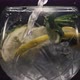 Jet Water Filling Lemon Mint Wineglass Closeup - VideoHive Item for Sale