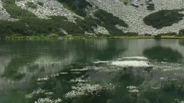 Upper Vasilashko Lake  alt