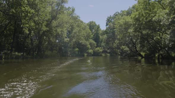 Fast River cruise in natural preservation area. alt