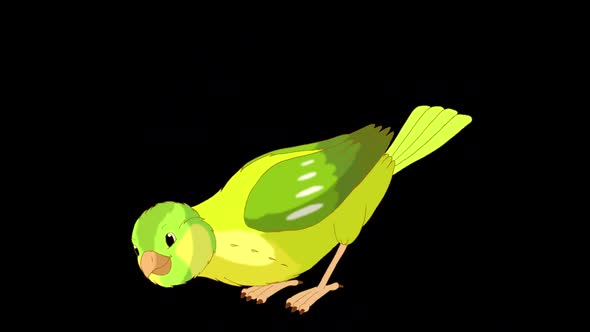 Green canary pecks grain alpha matte HD
