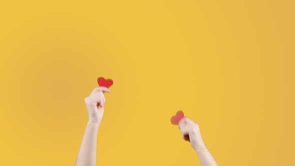 Female Blogger Hold in Hand Little Red Heart on Yellow Orange Background alt