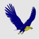 Ukraine Eagle - Flying Loop - Side Angle - 4K - Alpha Channel - VideoHive Item for Sale