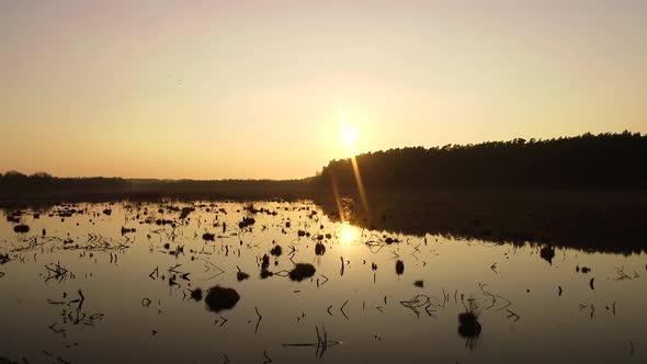 Spring Sunset On Wild Swamp