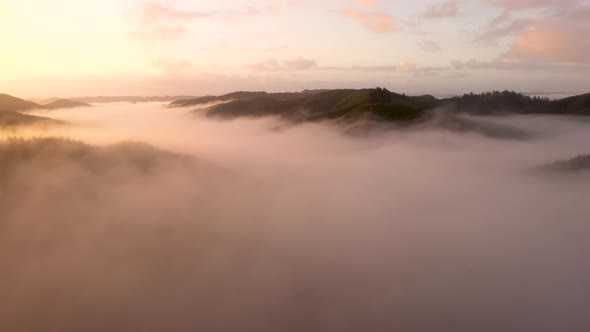 Log fog over Oregon forest at sunrise. Cinematic 4k drone flight. alt