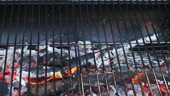 Cooking Barbecue on a Metal Grill Over Hot Coals alt