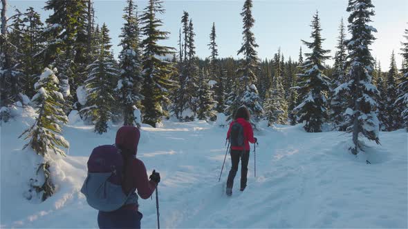 Adventure Girl Friends Hiking in Canadian Mountain Nature During Winter Sunny Morning alt