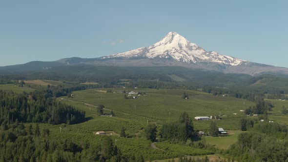 Aerial View of American Landscape and Green Farm Fields with Mount Hood in the background. Taken in alt